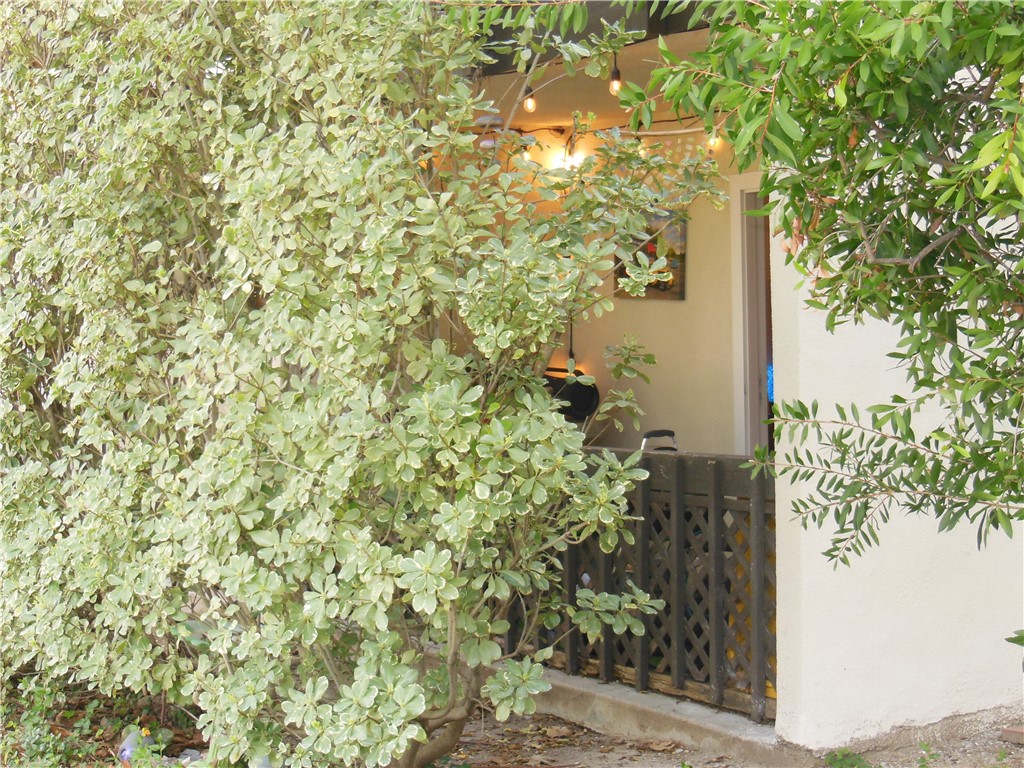 23515 Lyons Avenue 116 Property Photo 14