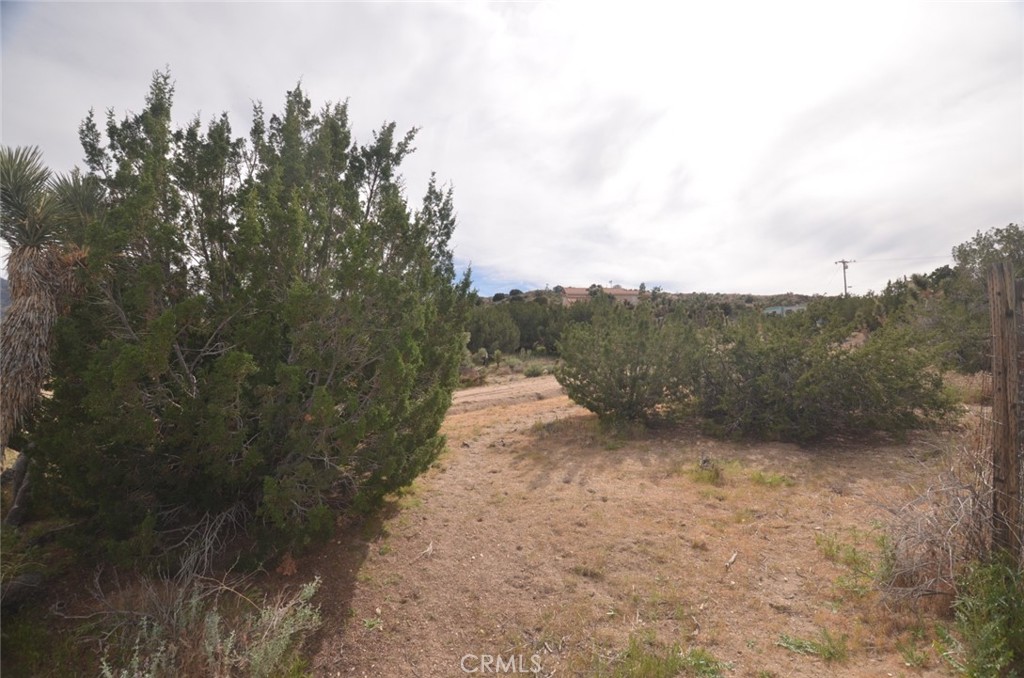 0 Longview X Old Homestead Property Photo 2