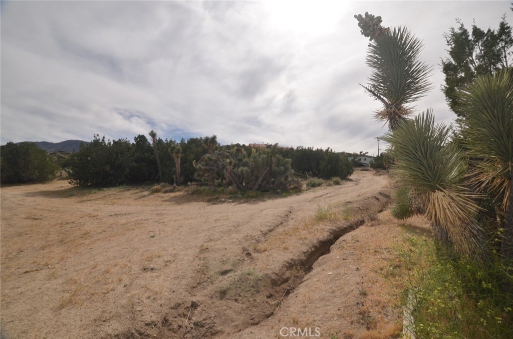0 Longview X Old Homestead Property Photo 3