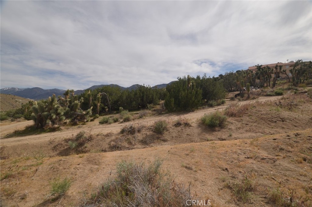 0 Longview X Old Homestead Property Photo 4