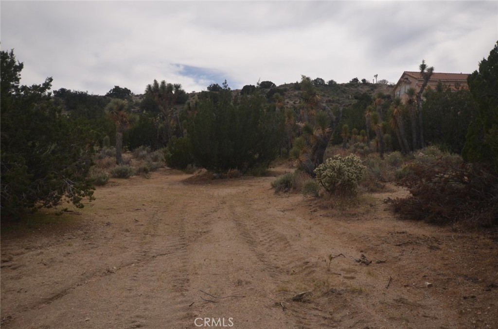 0 Longview X Old Homestead Property Photo 5