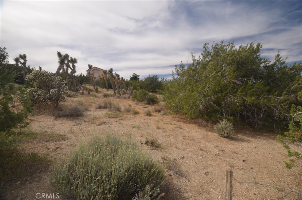0 Longview X Old Homestead Property Photo 6