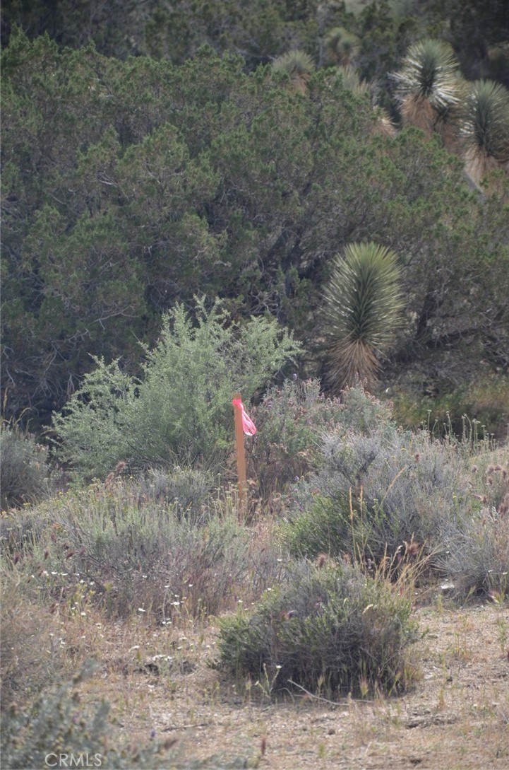 0 Longview X Old Homestead Property Photo 7