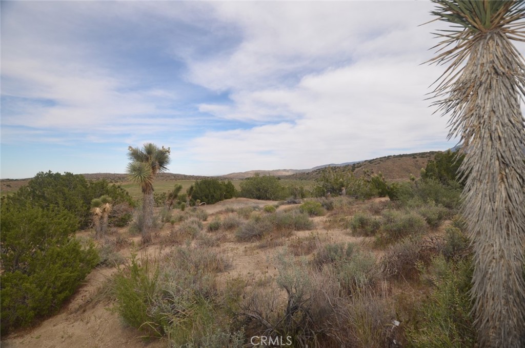 0 Longview X Old Homestead Property Photo 11