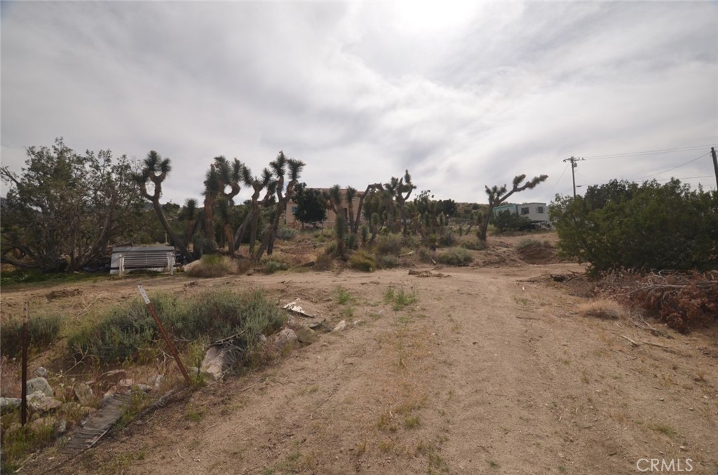 0 Longview X Old Homestead Property Photo 12
