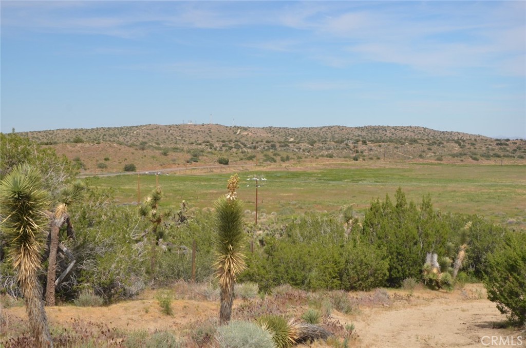 0 Longview X Old Homestead Property Photo 15