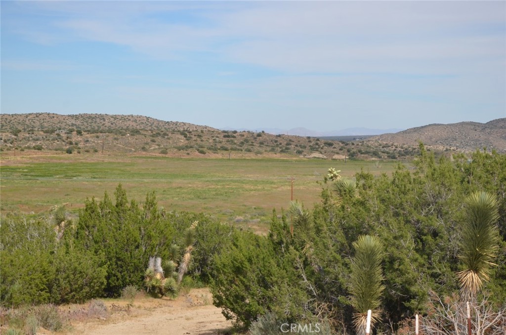 0 Longview X Old Homestead Property Photo 16