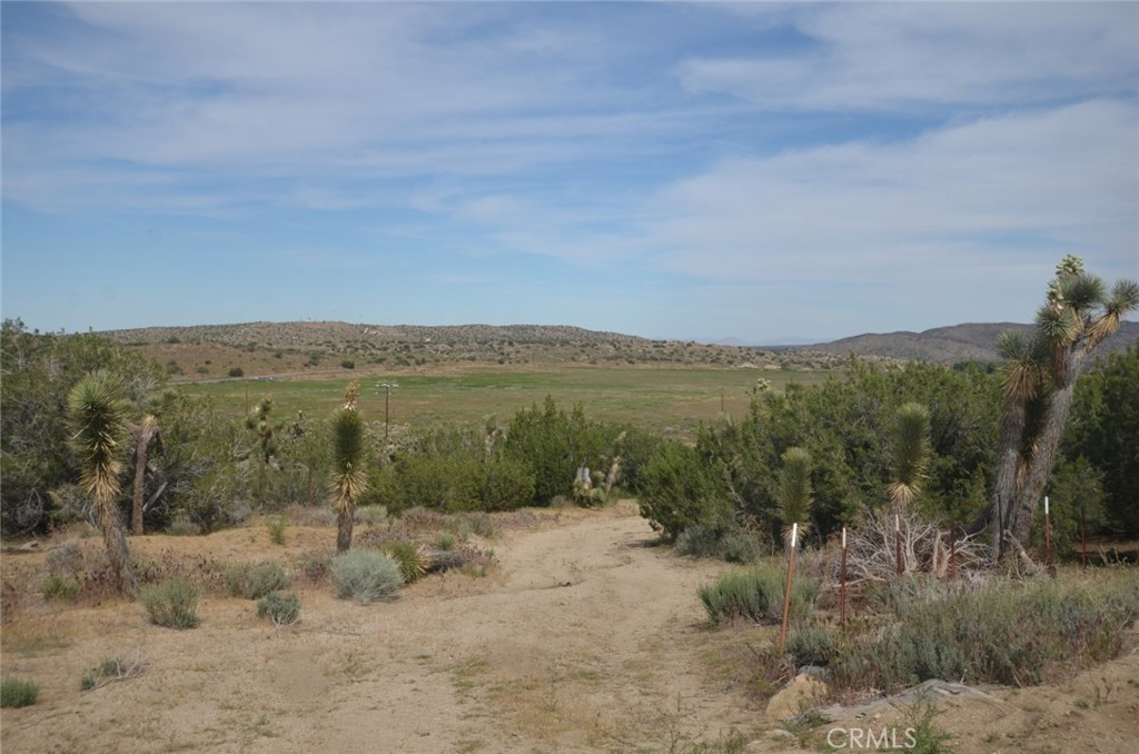 0 Longview X Old Homestead Property Photo 17