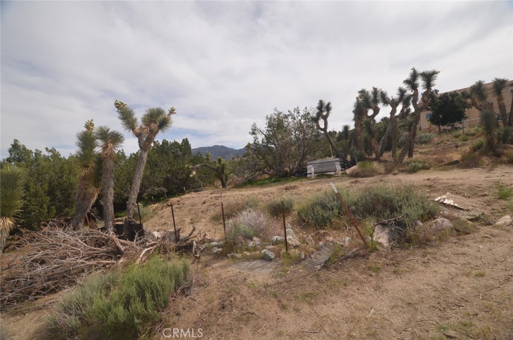 0 Longview X Old Homestead Property Photo 18