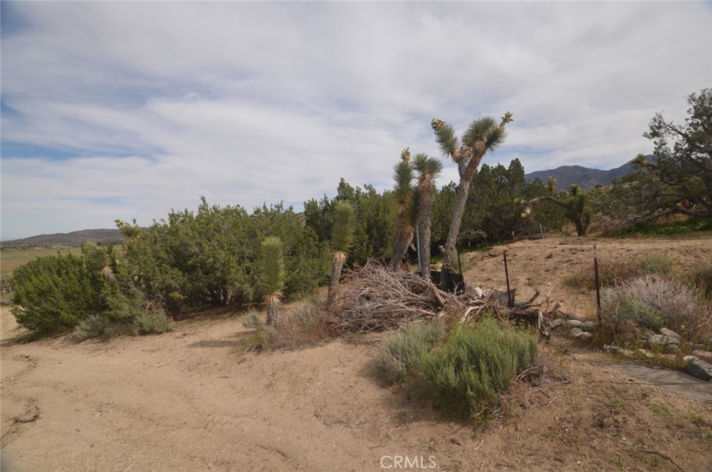0 Longview X Old Homestead Property Photo 19
