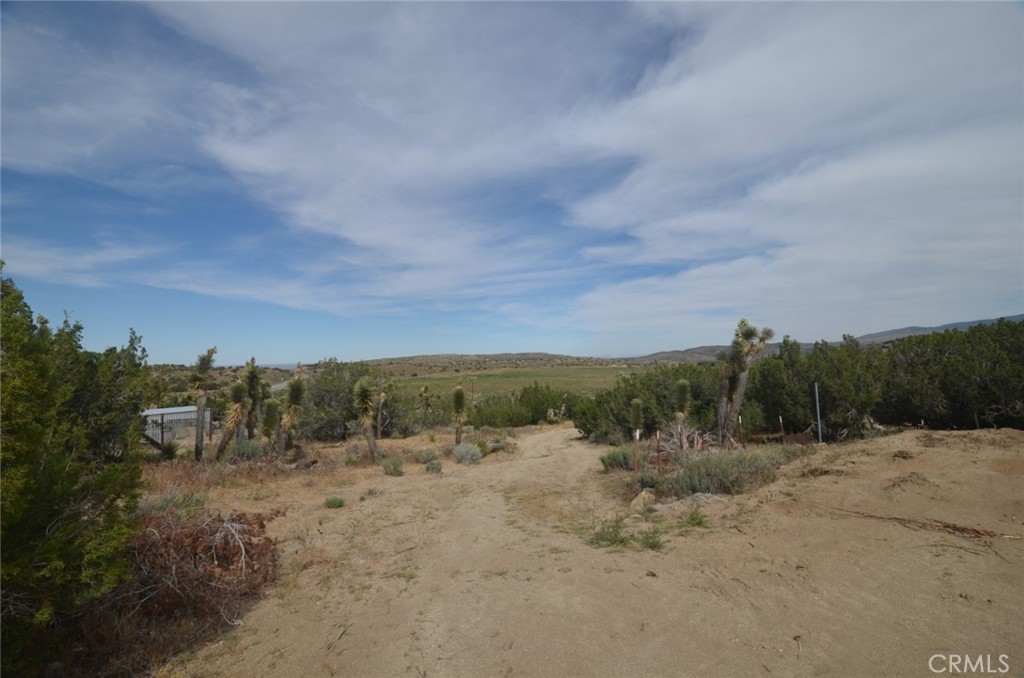 0 Longview X Old Homestead Property Photo 22