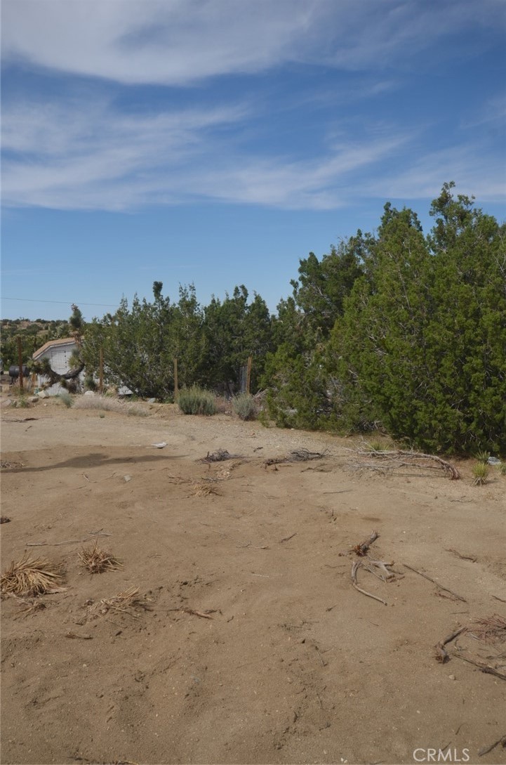 0 Longview X Old Homestead Property Photo 25