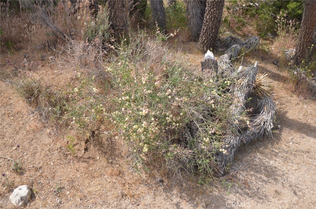 0 Longview X Old Homestead Property Photo 46