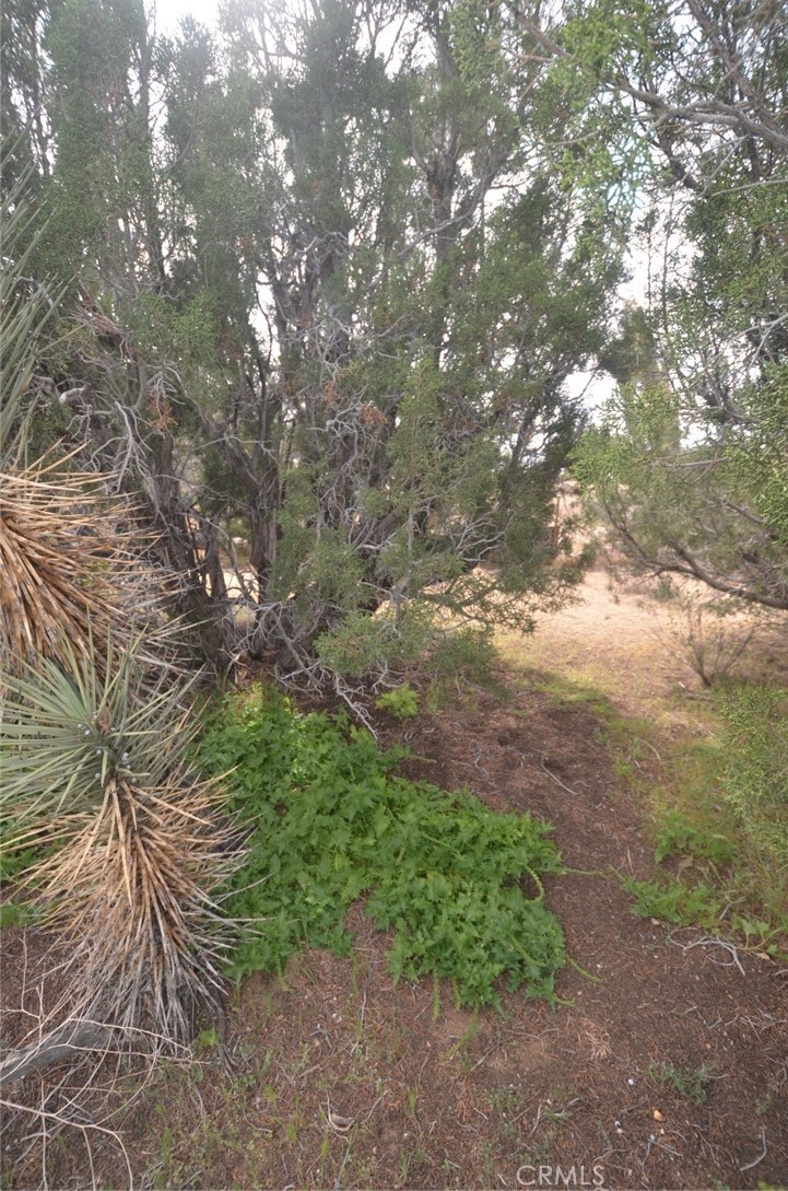 0 Longview X Old Homestead Property Photo 50