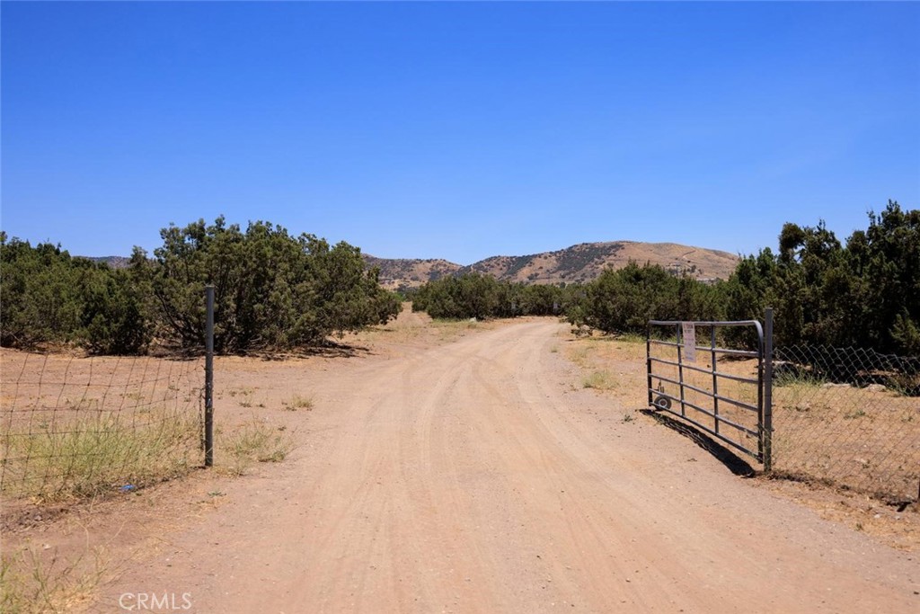 4 Shannondale Property Photo 8