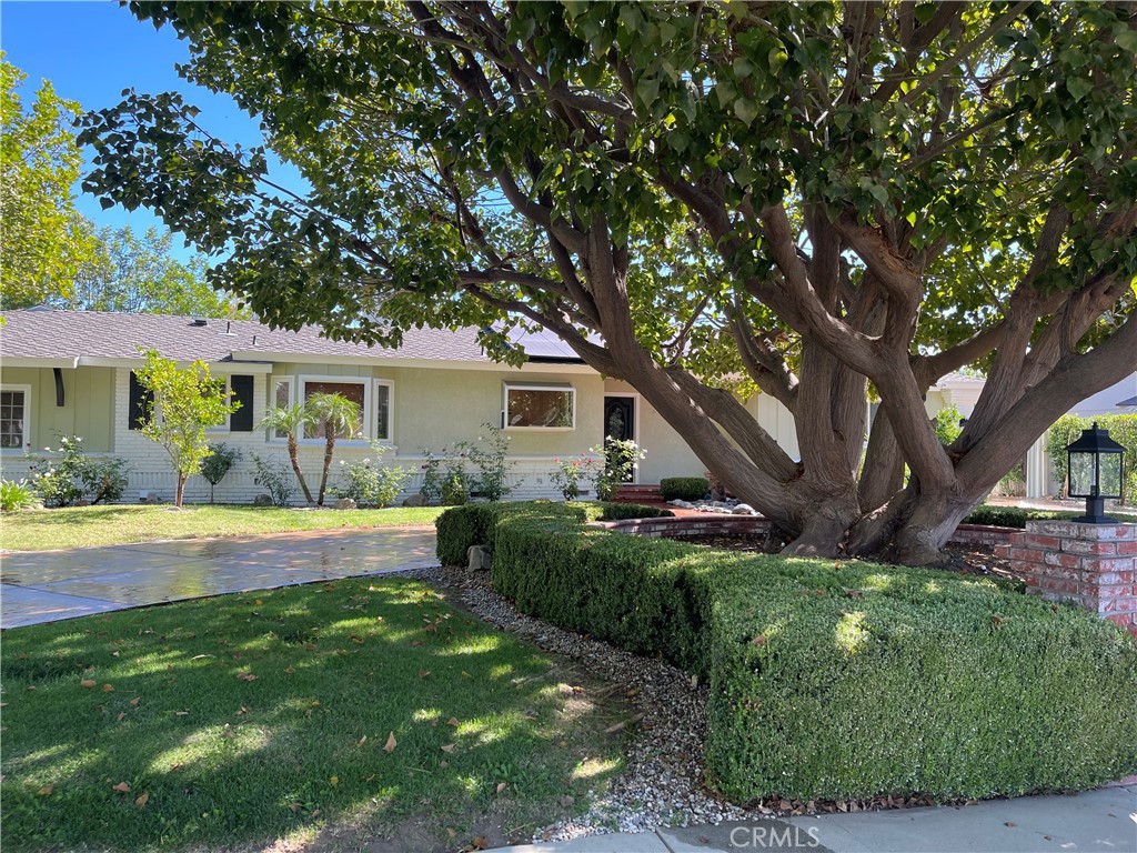 10132 Wish Property Photo 2
