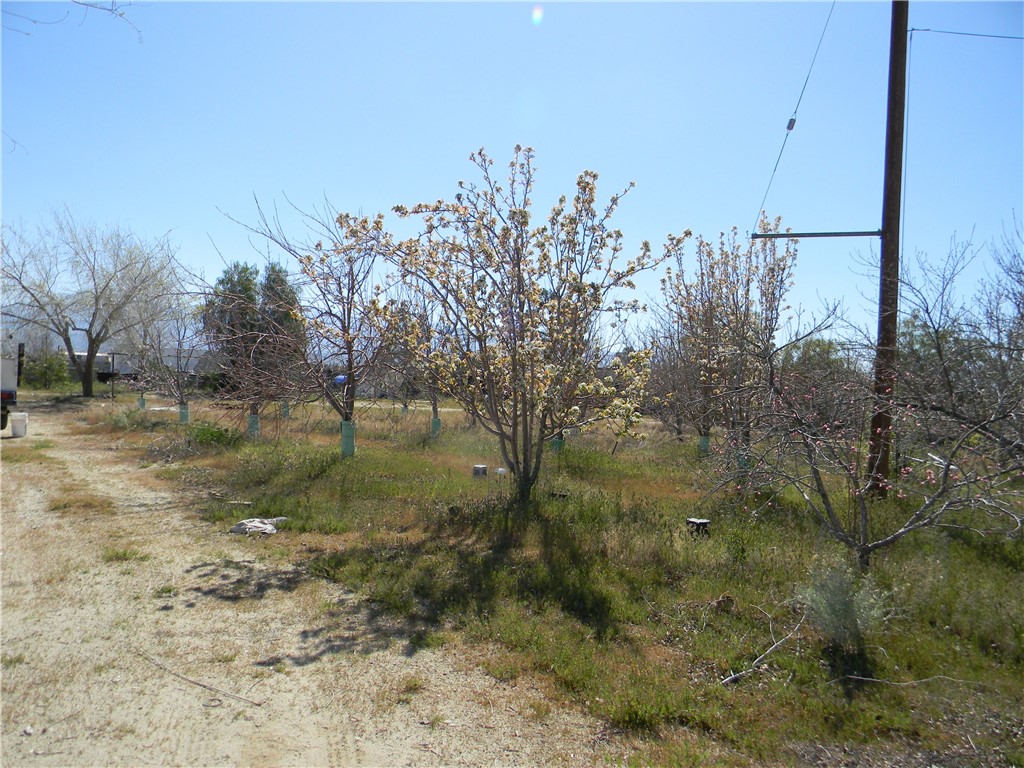 16846 E Avenue T Property Photo 29
