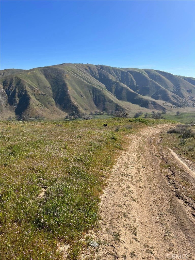 0 Lebec Road Property Photo 3