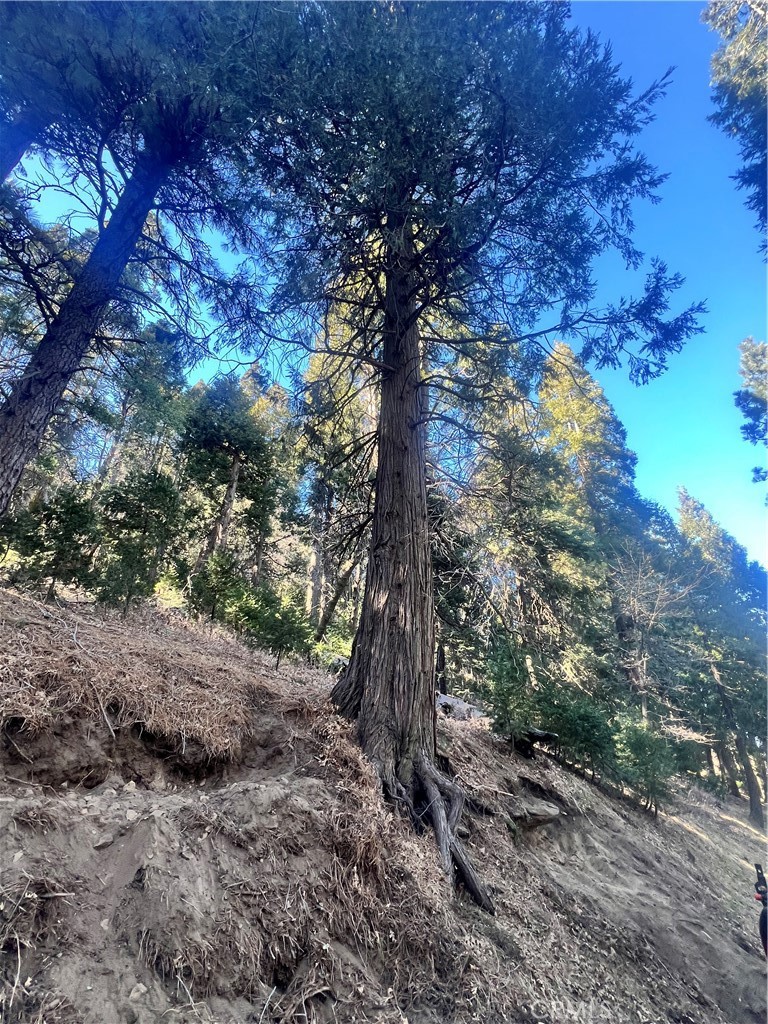 0 Reservoir Property Photo 1
