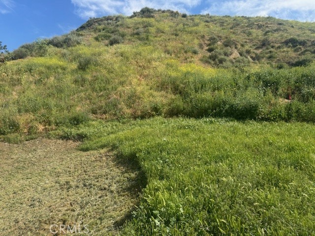 1 Garfield Street Property Photo 2