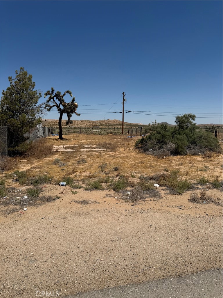 26081 20 Mule Team Property Photo 3