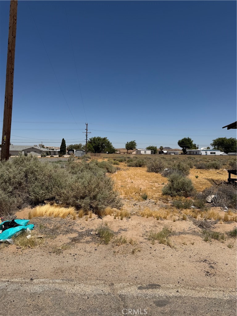 0 Twenty Mule Team Road Property Photo 3