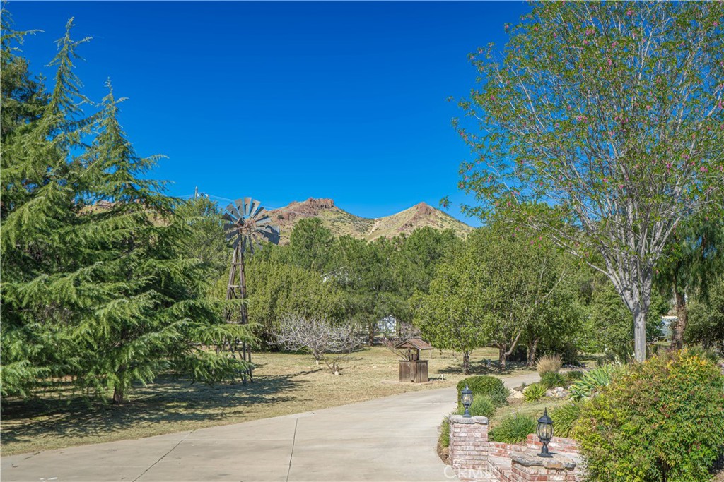 11340 Morgan Property Photo 6