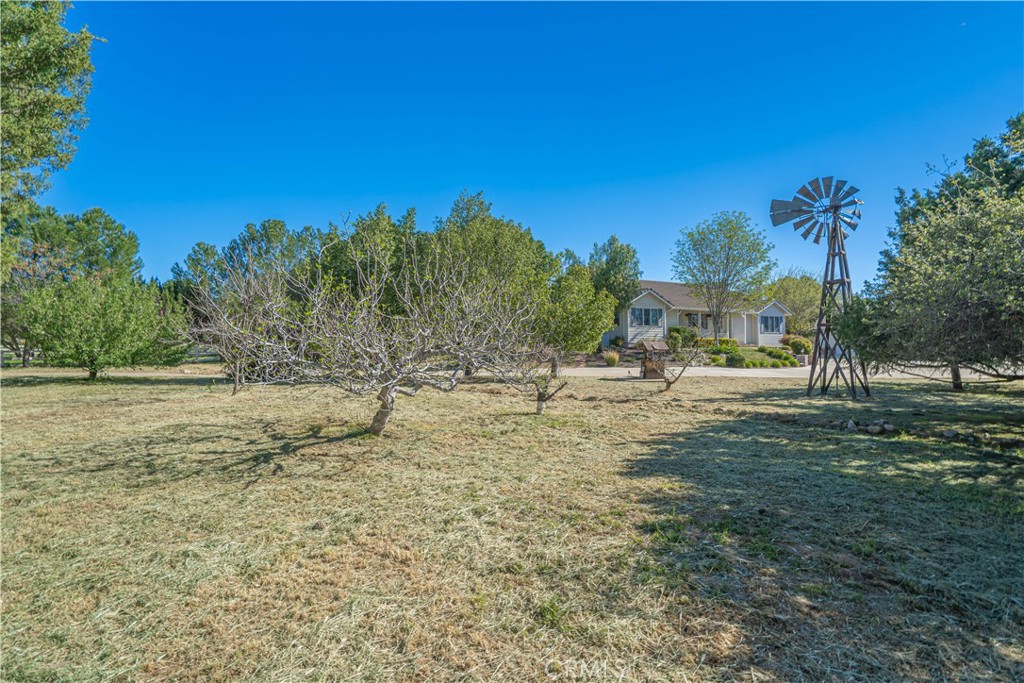 11340 Morgan Property Photo 52
