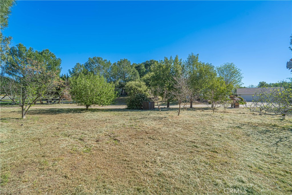 11340 Morgan Property Photo 53