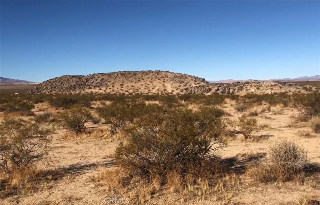 48364 Saddle Rock Way Property Photo 6