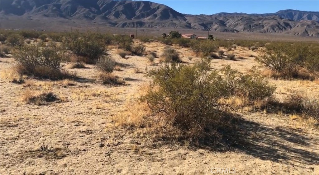 48364 Saddle Rock Way Property Photo 8