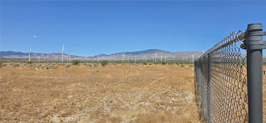 0 Rosamond Boulevard Property Photo 4