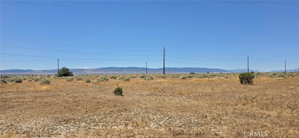 0 Rosamond Boulevard Property Photo 5