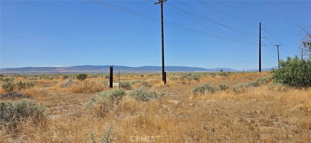 0 Rosamond Boulevard Property Photo 8