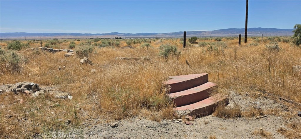 0 Rosamond Boulevard Property Photo 9