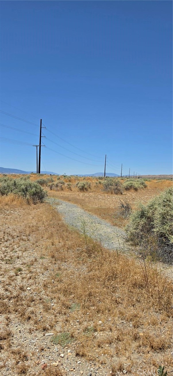 0 Rosamond Boulevard Property Photo 10