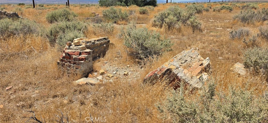 0 Rosamond Boulevard Property Photo 11
