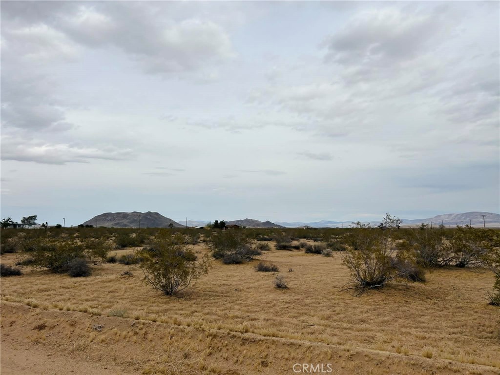 0 No Address Property Photo 1