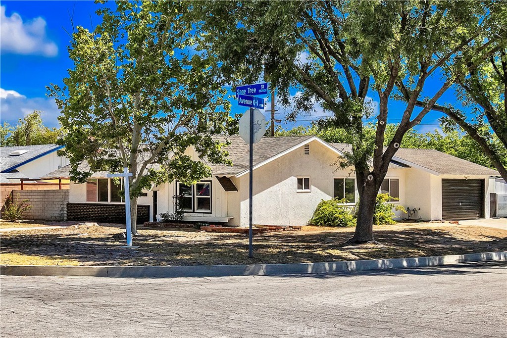 38734 Sage Tree Street Property Photo 25