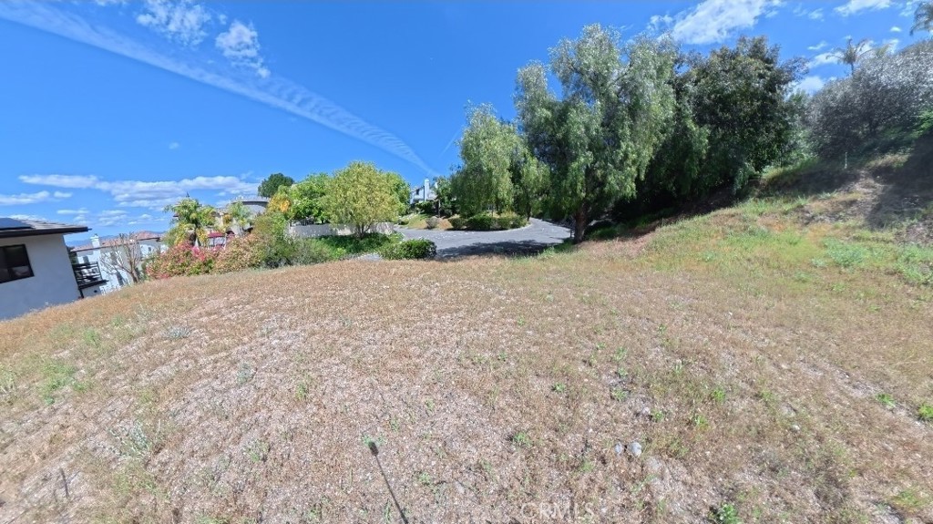 24901 Bella Vista Property Photo 3
