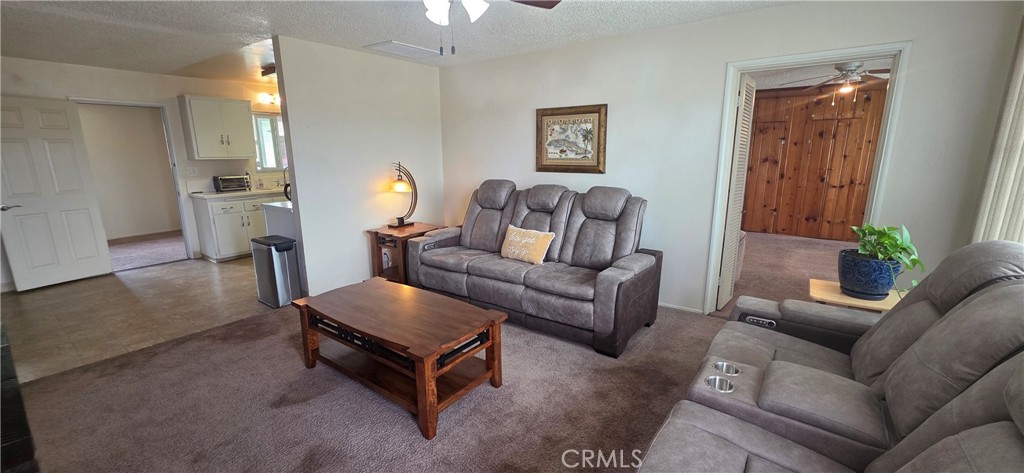 3133 Pat Property Photo 4