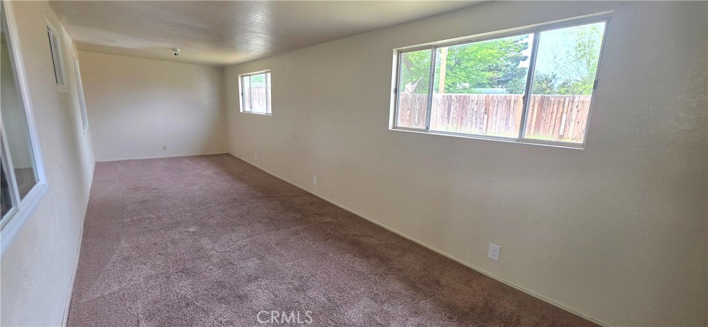 3133 Pat Property Photo 9