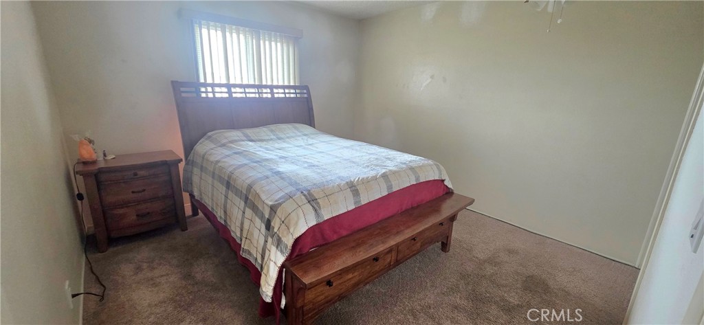 3133 Pat Property Photo 15