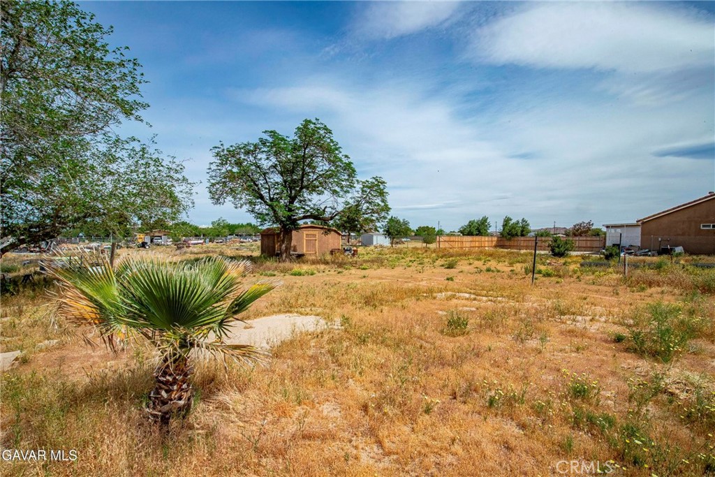 10731 E Avenue R2 Property Photo 19