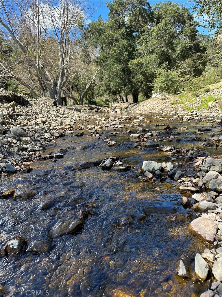32067 Lobo Canyon Road Property Photo 10
