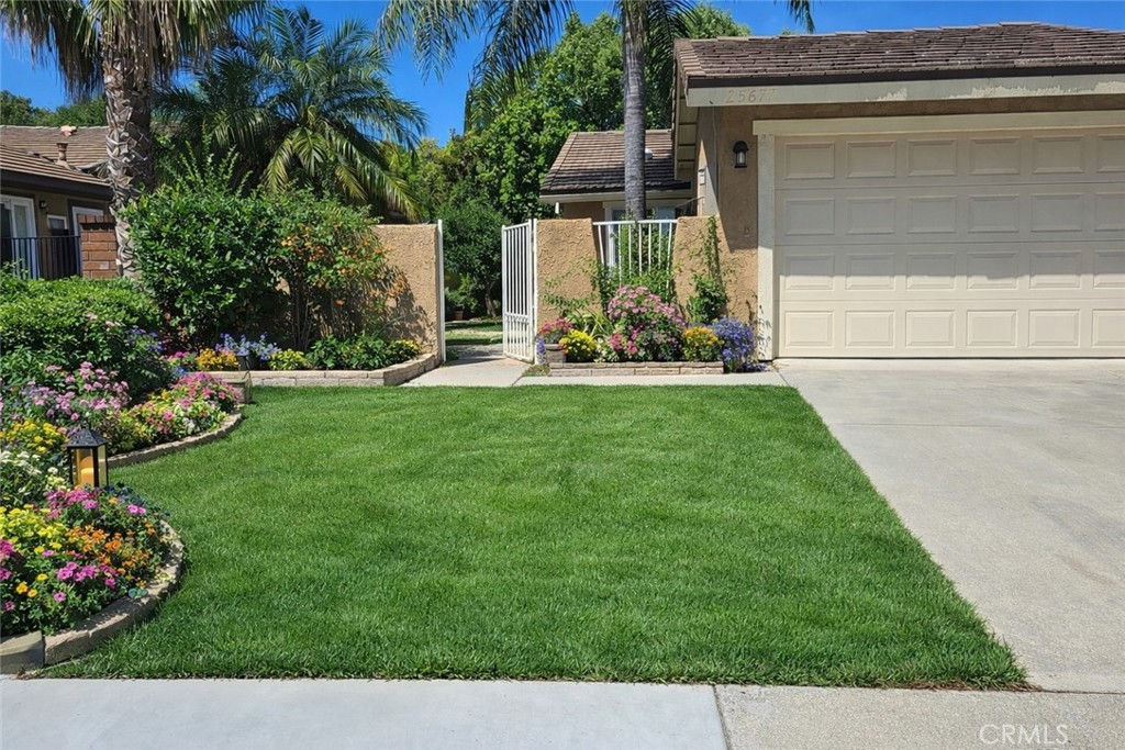 25657 Almendra Drive Property Photo 1