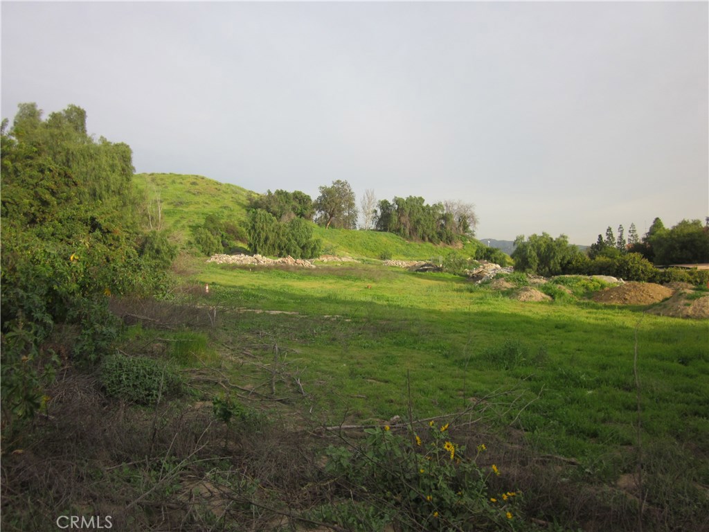 11819 Kagel Canyon Property Photo 2