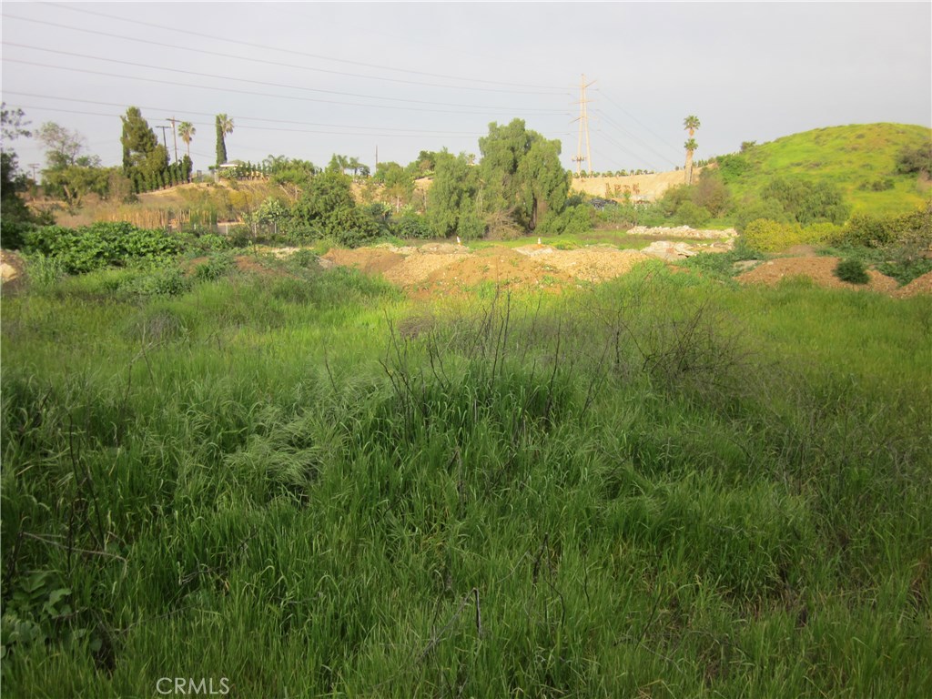 11819 Kagel Canyon Property Photo 3