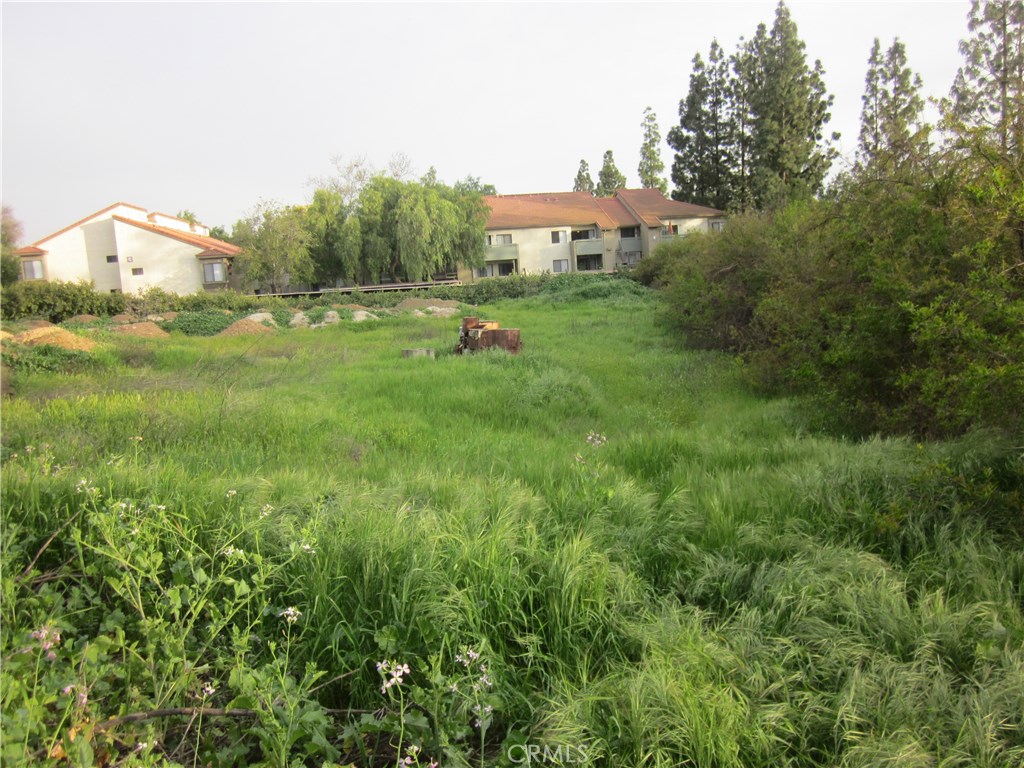 11819 Kagel Canyon Property Photo 4
