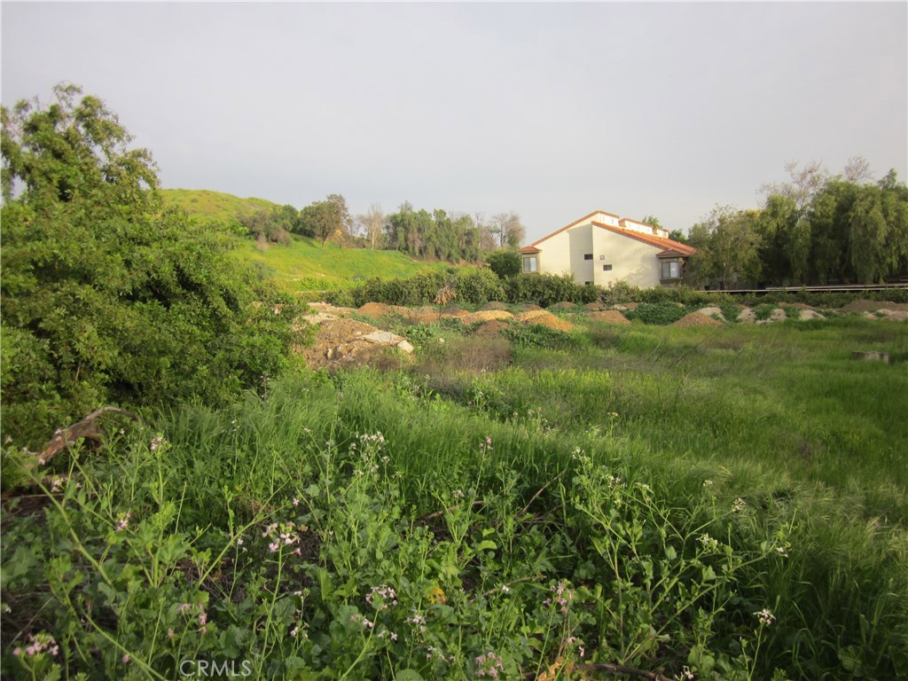 11819 Kagel Canyon Property Photo 5